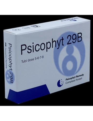 PSICOPHYT REMEDY 29B 4TUB 1,2G