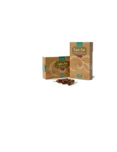 LIGNE ART BIO 20 AMPOLLE 15ML