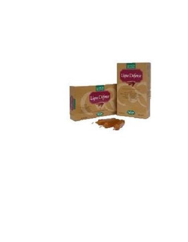 LIGNE DEFENSE BIO 20 AMPOLLE