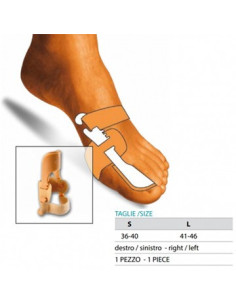 ORIONE OK PED 229 CORR ALL D S