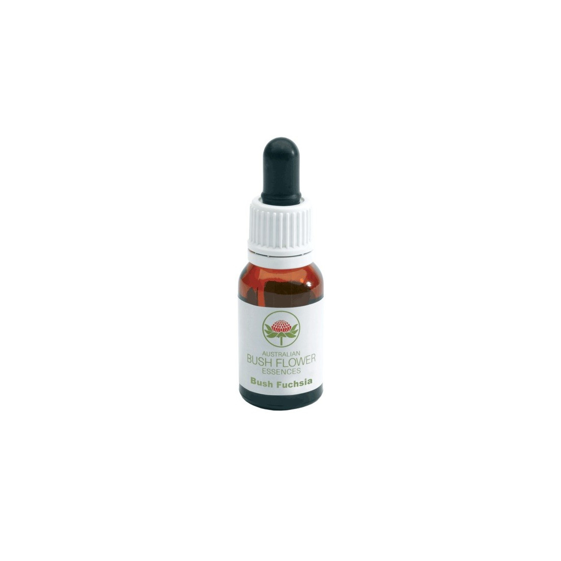 BUSH FUCHSIA GOCCE 15 ML OF WHICH: