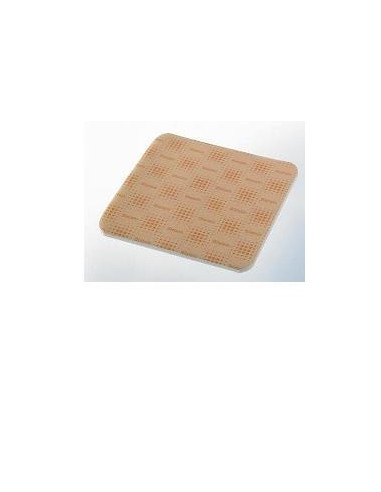 BIATAIN SOFT HOLD PUR 10X20 5P