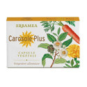 PLUS 24CPS CAROSES