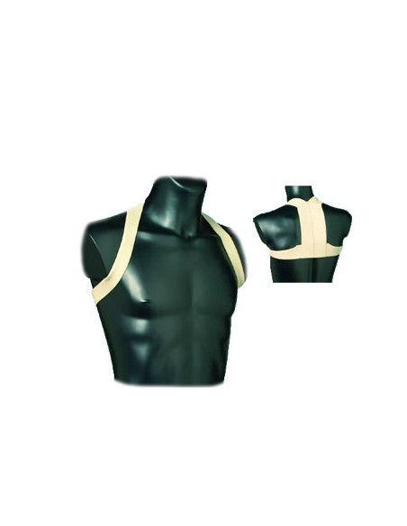 RADDRIZZASPALLE MOD OTTO M