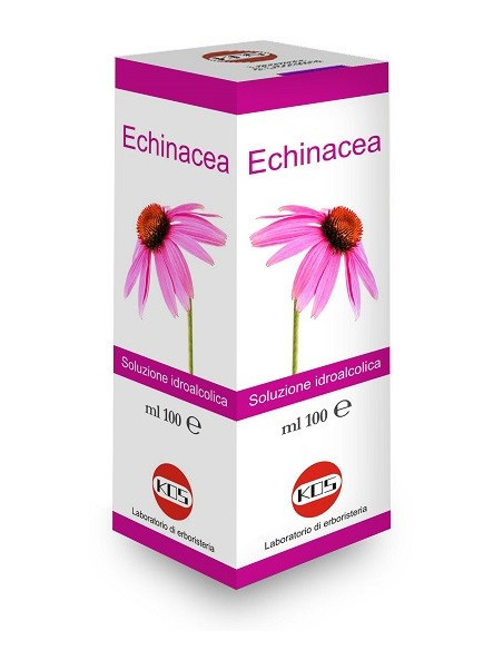 ECHINACEA SOL IAL PIANTA FR100