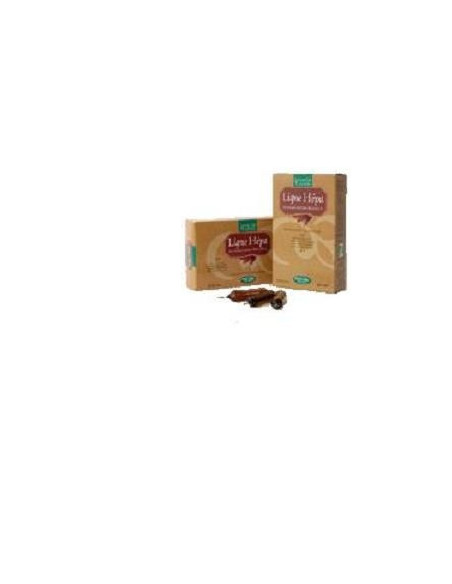 LIGNE CAPIL 20AMPOLLE