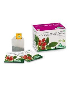 INFUSO BIO FRUTTA BOSCO 20FILT