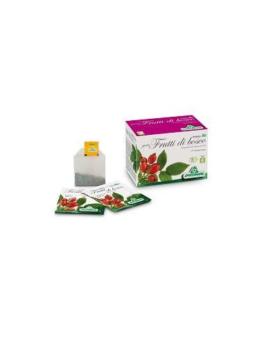 INFUSO BIO FRUTTA BOSCO 20FILT