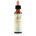 CHICORY BACH ORIG 20ML