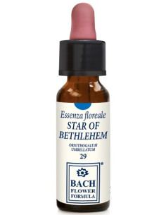 STAR OF BETHLEHEM 10ML GTT