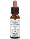 STAR OF BETHLEHEM 10ML GTT