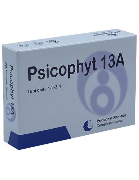 PSICOPHYT REMEDY 13A 4TUB 1,2G