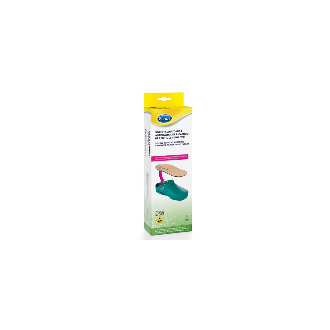 CLOG EVO ANAT ANT INS MIC39-40