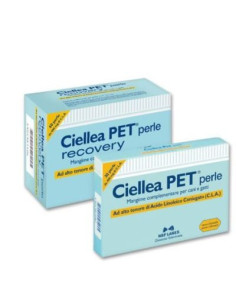 COMPEED HERPES LABIALE 15PZ