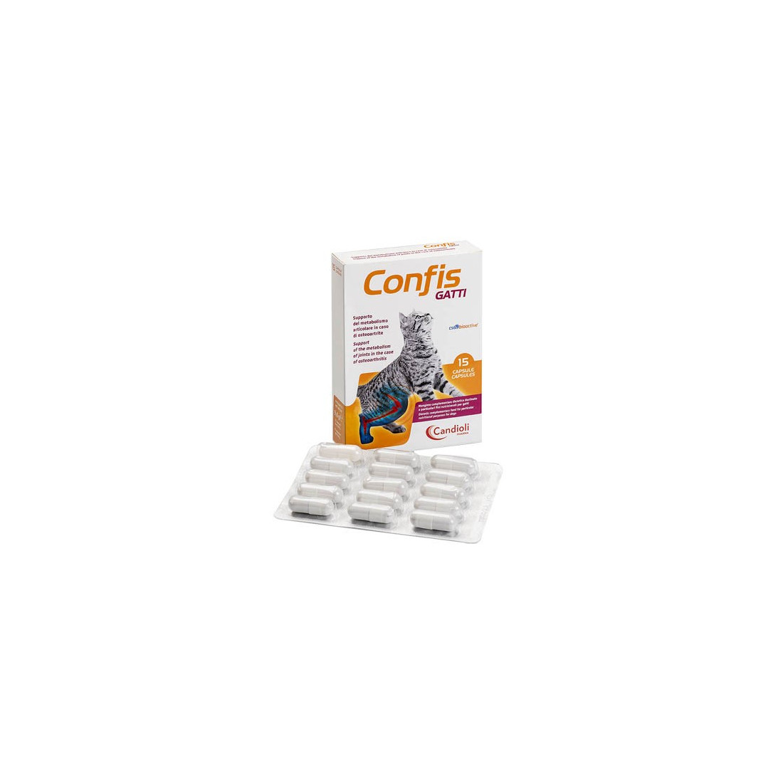 CONFIS GATTI 15CPS