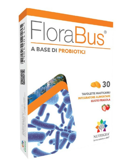 FLORABUS 30TAV