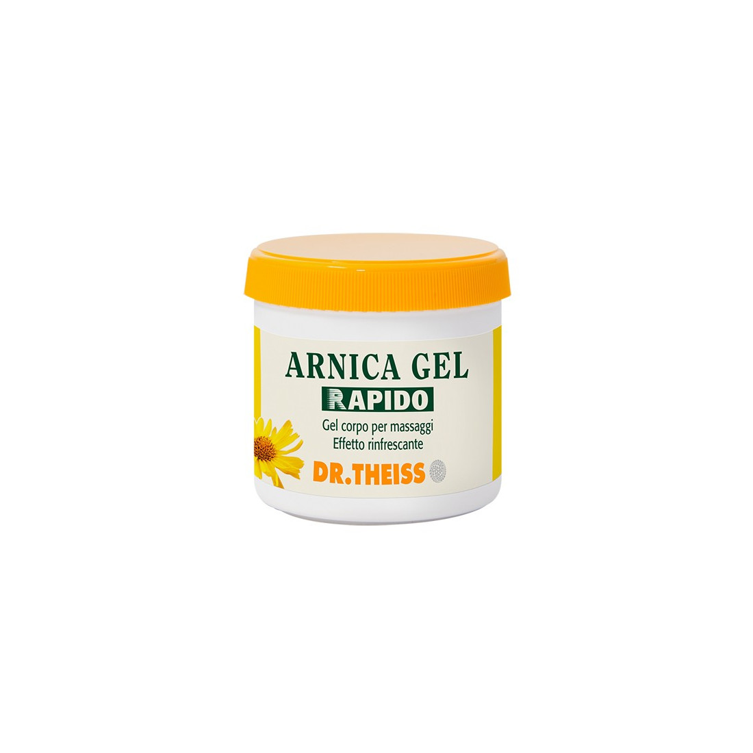 DR THEISS ARNICA GEL RAPIDO