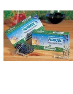 FISIOSOL 10 I 20F 2ML