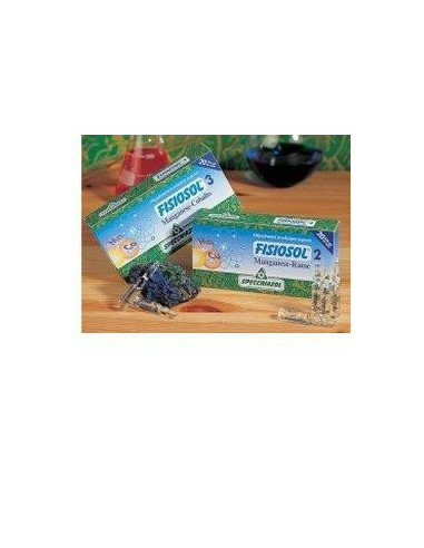 FISIOSOL 2 MN CU 20F 2ML