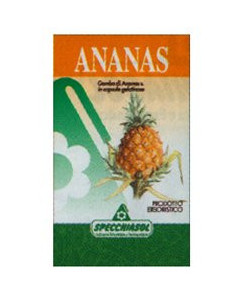 ANANAS ERBE 80CPS