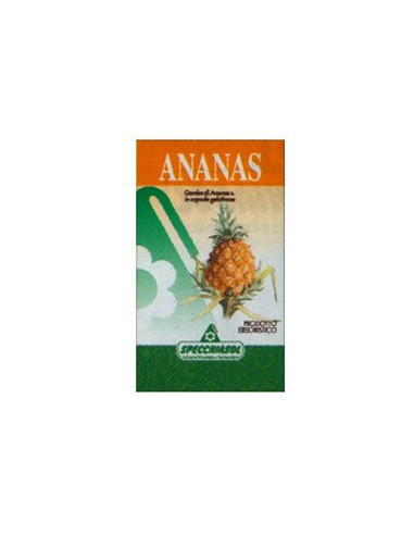 ANANAS ERBE 80CPS