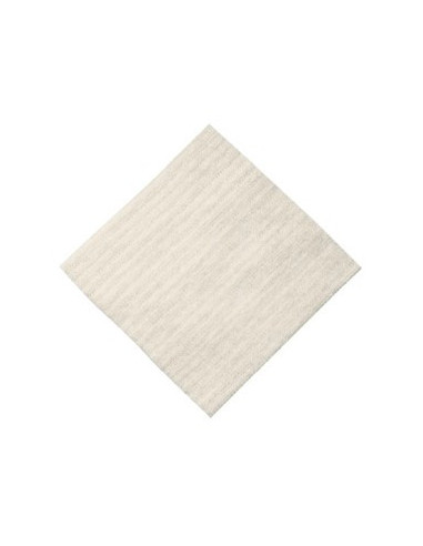 ALGISITE M MEDIC 10X10CM 10PZ