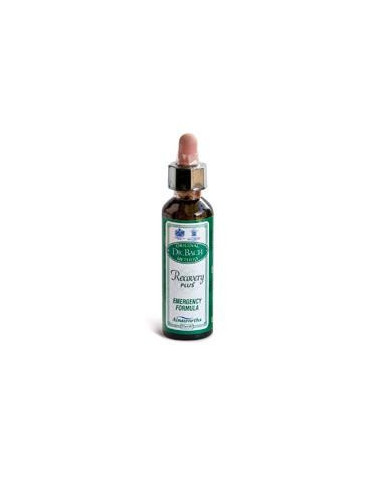 AINSWORTHS RECOV PLUS 20ML