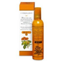 SOL ELASTICZ SPF6 100ML