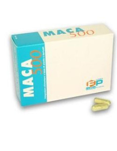 MACA 500 60CPS