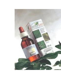 AGNOCASTO FRUTTI 100ML TM