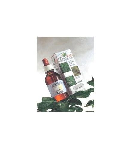 AGNOCASTO FRUTTI 100ML TM