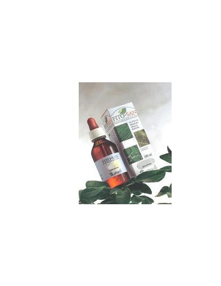 AGNOCASTO FRUTTI 100ML TM