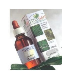 CARDO MARIANO FRUT 100ML TM