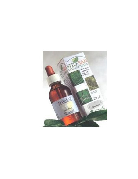 CARDO MARIANO FRUT 100ML TM