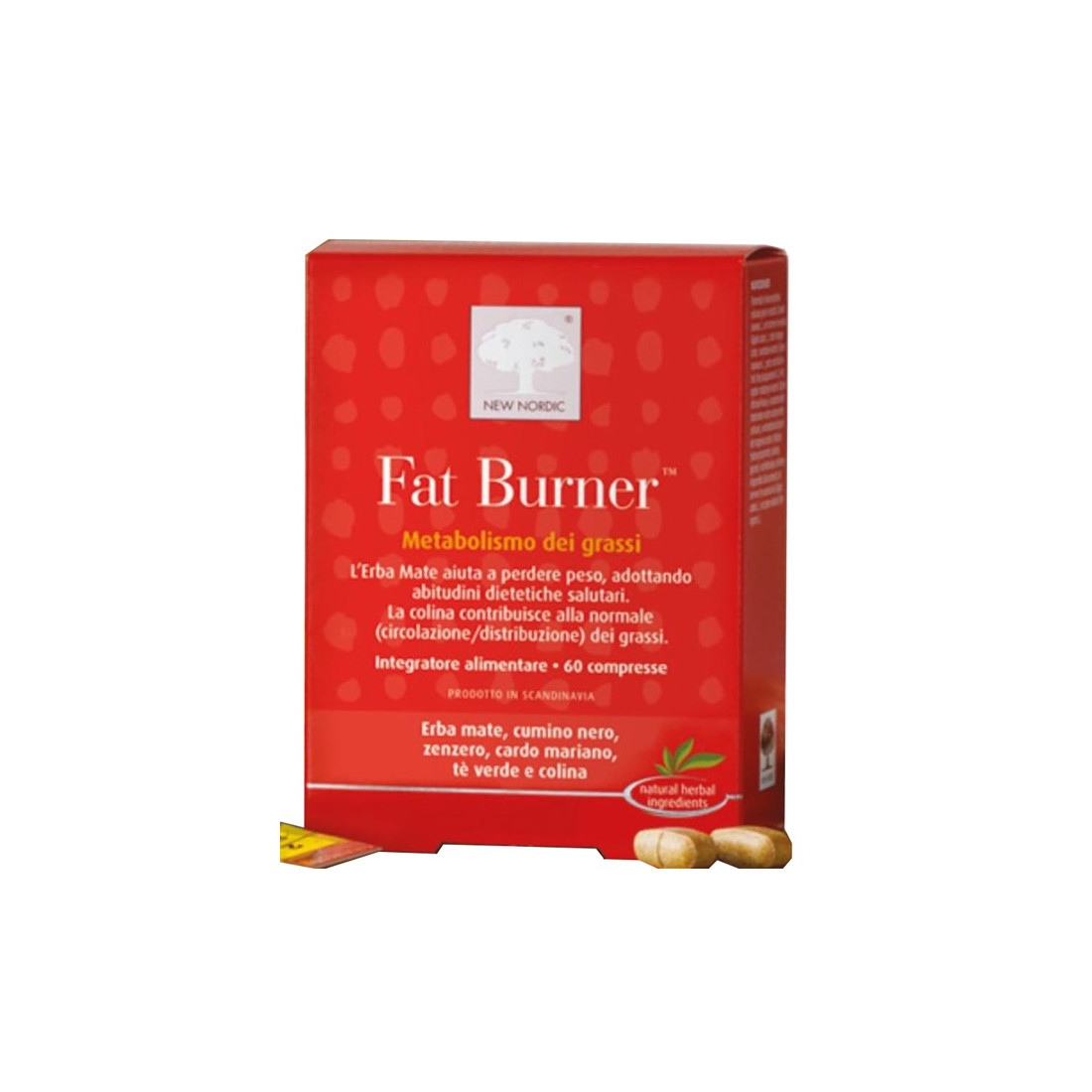 FAT BURNER 60CPR