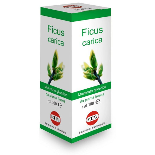 FICUS CARDS MG 100ML GTT