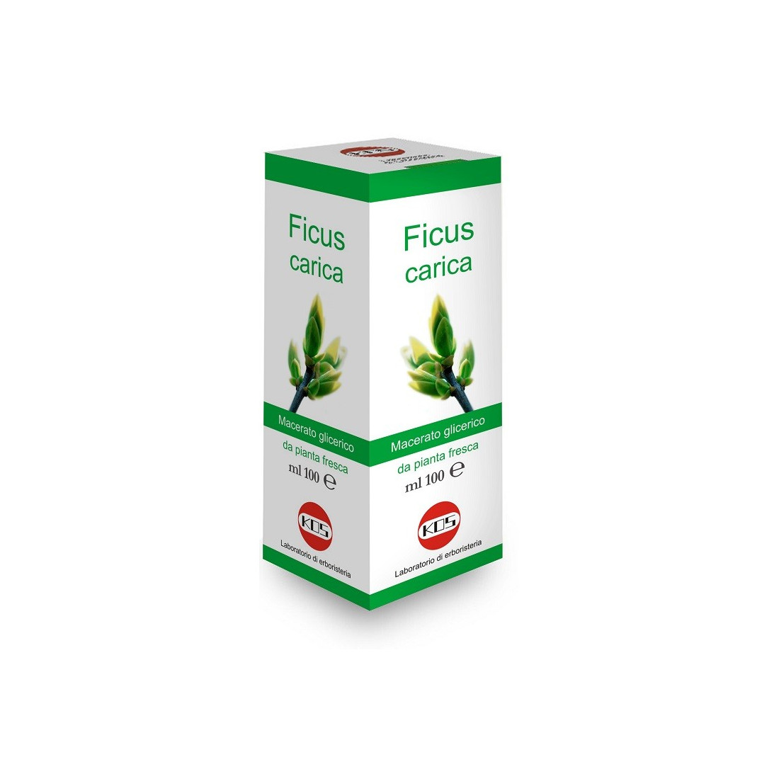 FICUS CARICA MG 100ML GTT