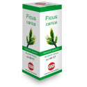 FICUS CARDS MG 100ML GTT