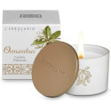 OSMANTHUS CANDELA C/COPERCHIO