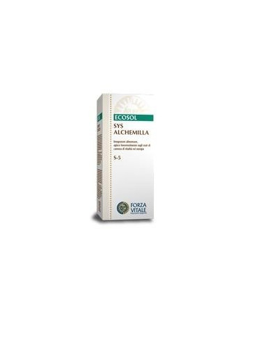 FLAVIS FRUIT BAR 5X25G
