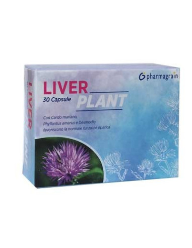 LIVER PLANT 30CPS