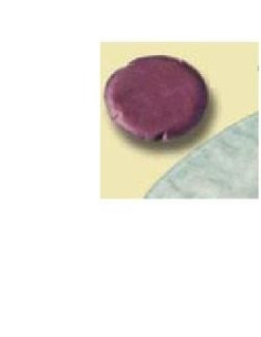 ALTERNA URO MINICAP 50MM 28080