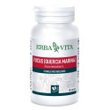 FUCUS 60CPS 500MG
