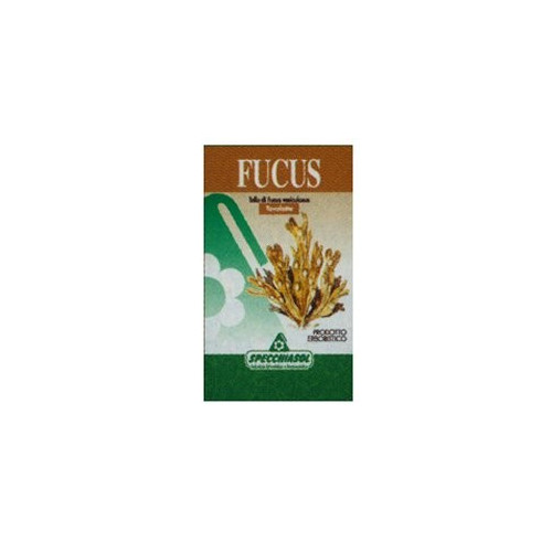 FUCUS ERBE 150TAV