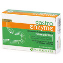 GASTRO ENZYME 30CPS VEGETAL