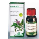 GEMMOSOL 3 IPPOCASTAN 50ML