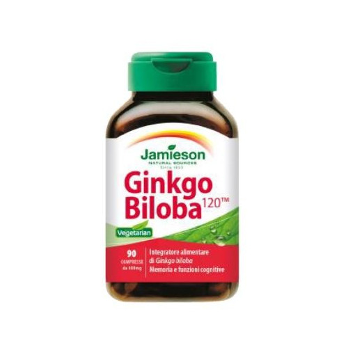 GINKGO BILOBA 90CPR