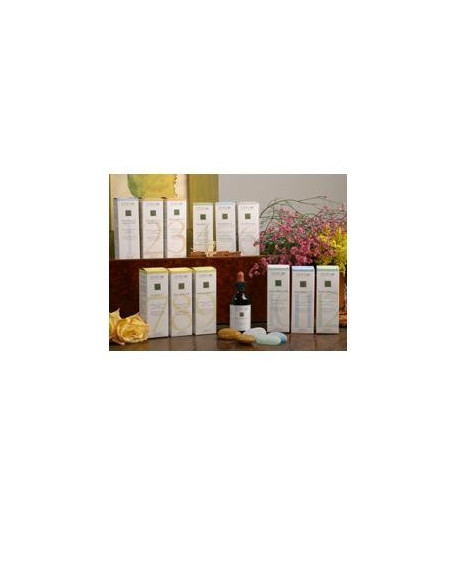 ZEF01 COLOPLANT FRED STV