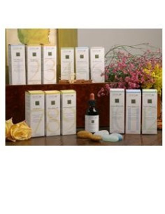 ZEF02 COLOPLANT CALD STV