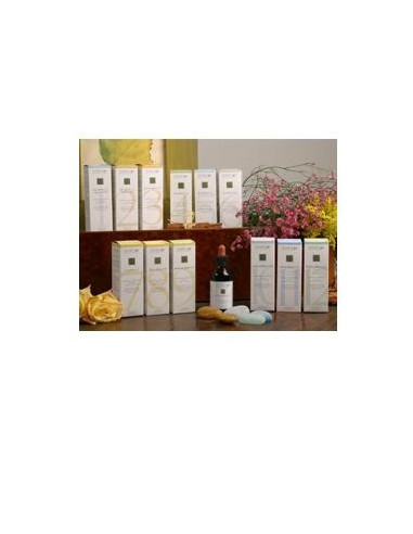 ZEF05 CISTO PLANT STV